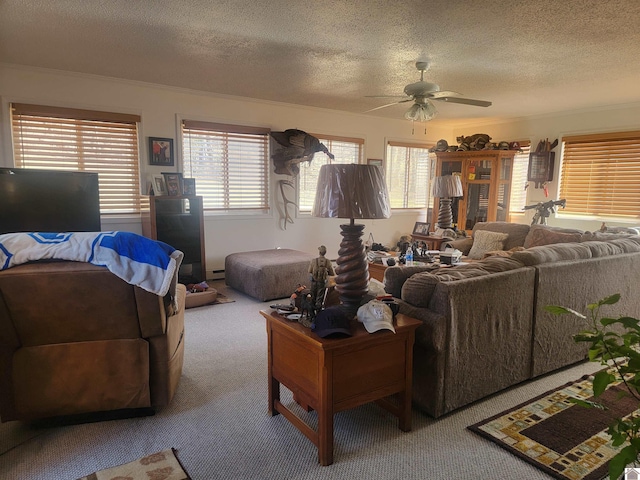 living room with a ceiling fan, carpet, and a textured ceiling