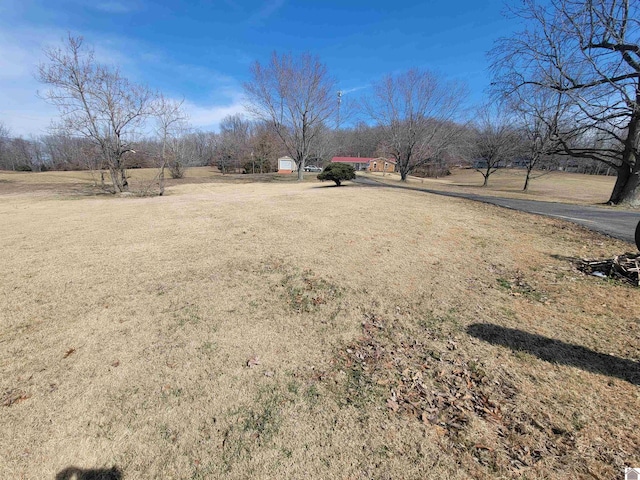 view of yard with a rural view