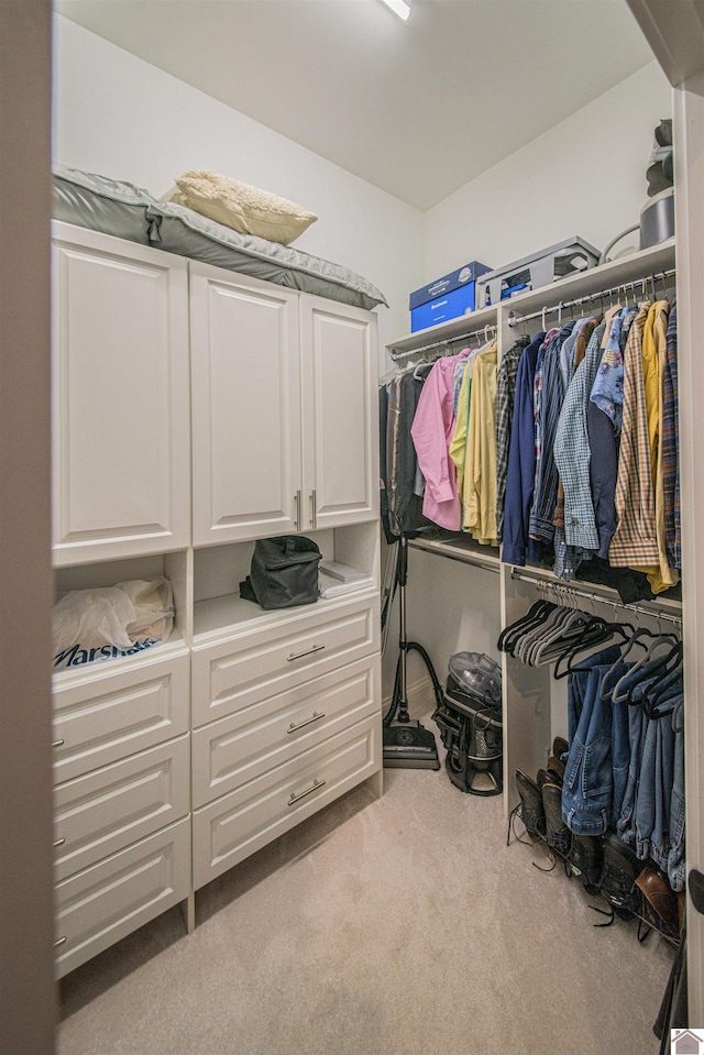 spacious closet with light carpet