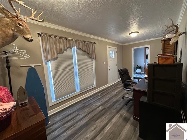 office space featuring ornamental molding, dark wood finished floors, a textured ceiling, and baseboards