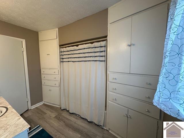 interior space with curtained shower, a textured ceiling, wood finished floors, and vanity