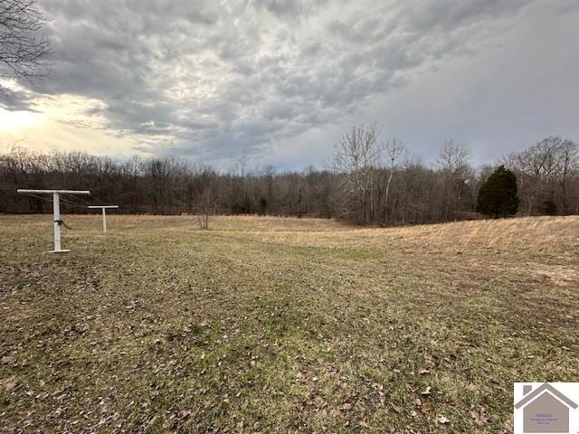 view of yard with a rural view