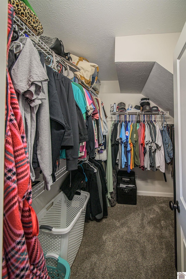 spacious closet featuring carpet floors and vaulted ceiling