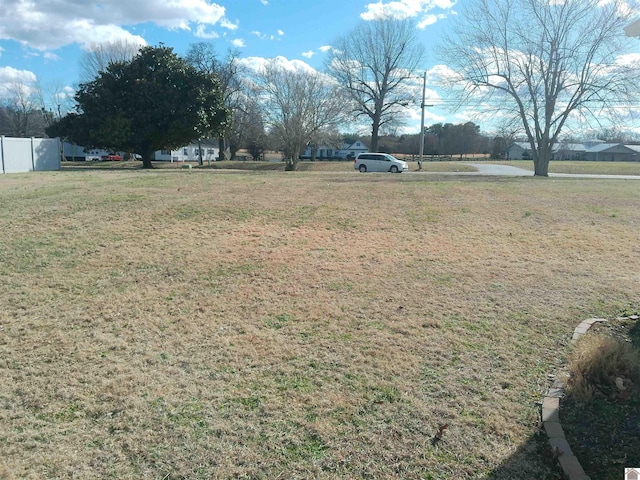 24 Hill Creek Ln, Benton, KY 42003 - view of yard