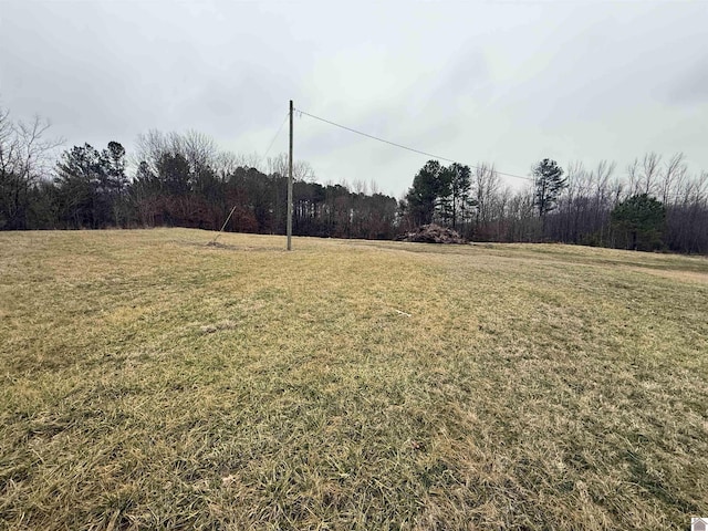 15770 State Route 97, Farmington KY, 42079 land for sale