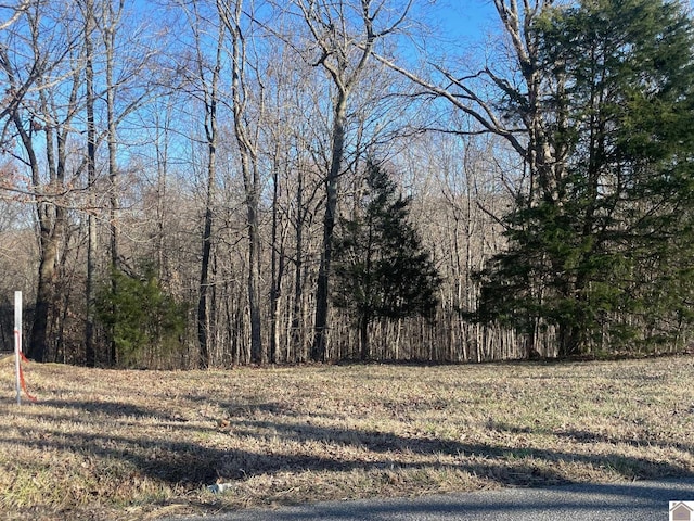 Listing photo 3 for 0 Vicksburg Rd, Tiline KY 42083