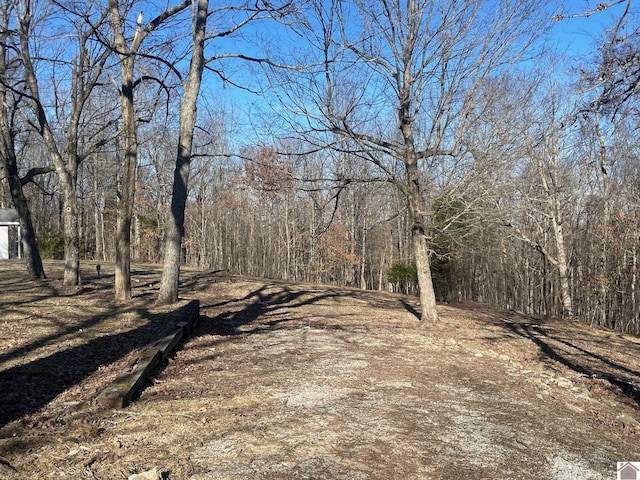 821 Vicksburg Rd, Tiline KY, 42083 land for sale