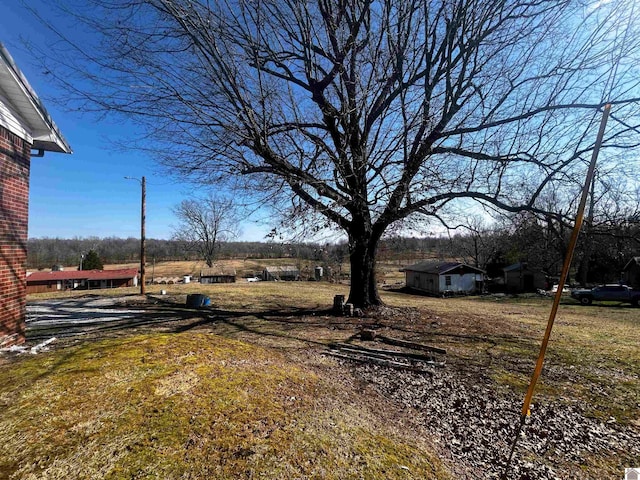 view of yard with an outdoor structure