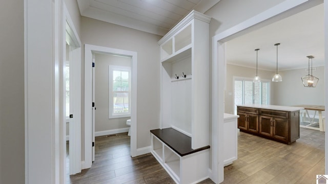 mudroom with ornamental molding, light wood-style flooring, and a wealth of natural light