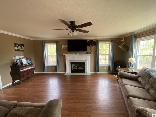 living area featuring a fireplace with flush hearth, wood finished floors, and a healthy amount of sunlight