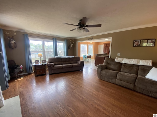 living room featuring crown molding, a textured ceiling, ceiling fan, and wood finished floors