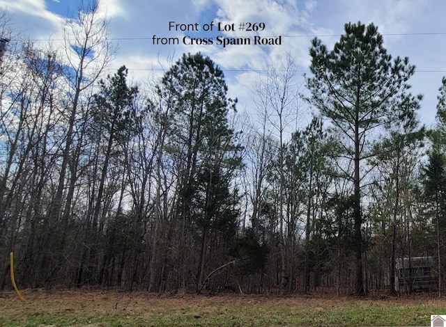 Cross Spann Rd, Murray KY, 42071 land for sale