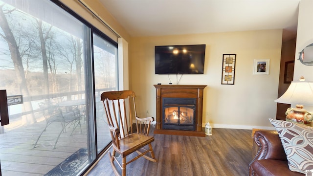 living area with wood finished floors, a glass covered fireplace, and baseboards