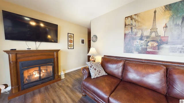 living room with baseboards, wood finished floors, and a glass covered fireplace