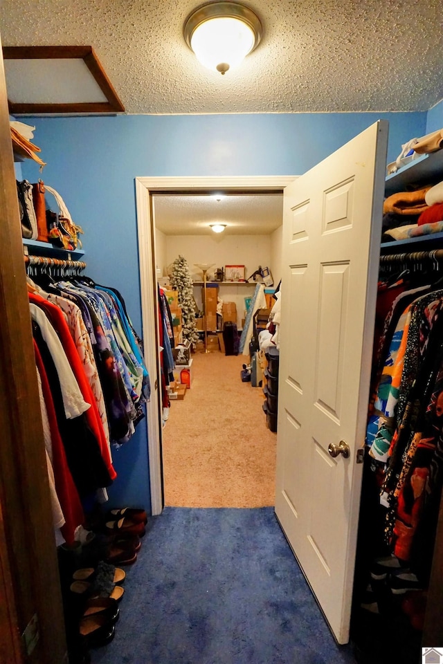 walk in closet with dark colored carpet