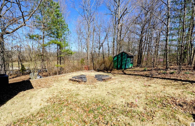 view of yard featuring a storage shed and an outbuilding