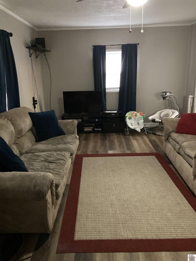 living room featuring crown molding and wood finished floors