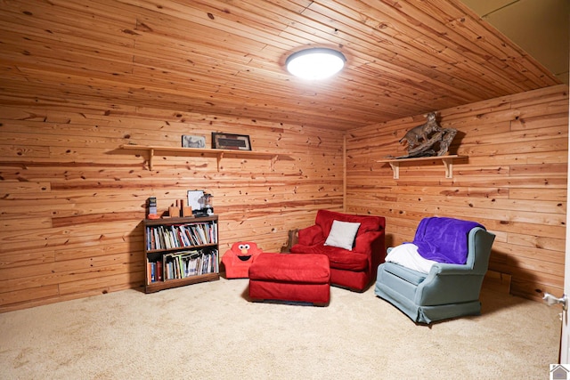 3929 Griggstown Rd, Calvert City, KY 42029 - unfurnished room featuring wooden ceiling, carpet flooring, and wooden walls