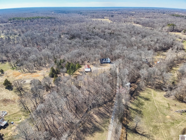 aerial view with a forest view