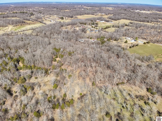 3929 Griggstown Rd, Calvert City, KY 42029 - drone / aerial view