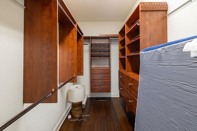 walk in closet featuring dark wood-style flooring