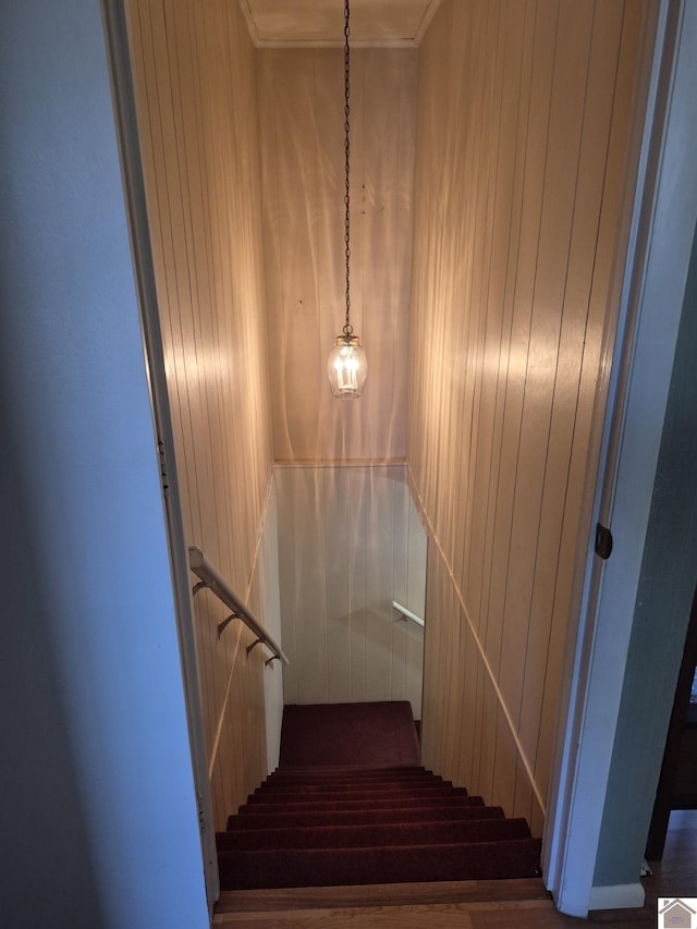 staircase featuring wooden walls