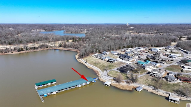 birds eye view of property with a water view and a view of trees