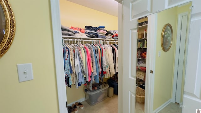 view of spacious closet