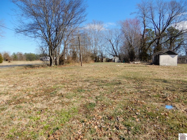 view of yard with a storage unit and an outdoor structure