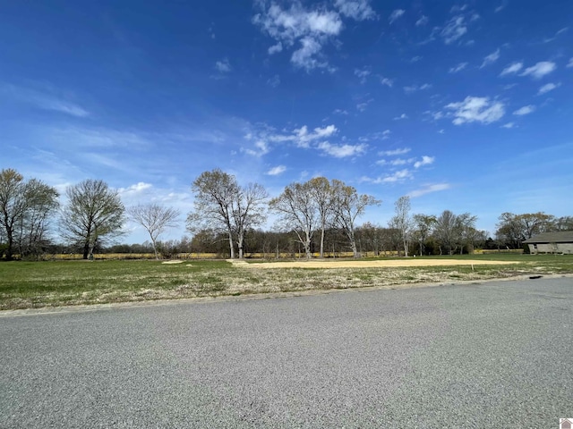 LOT50 Belle Meade Dr, Murray KY, 42071 land for sale