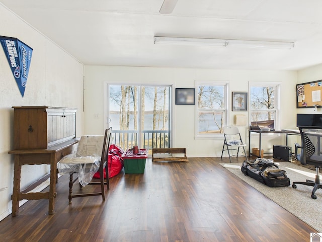 living area featuring wood finished floors