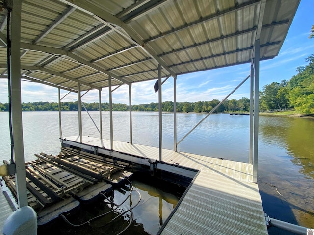 dock area with a water view