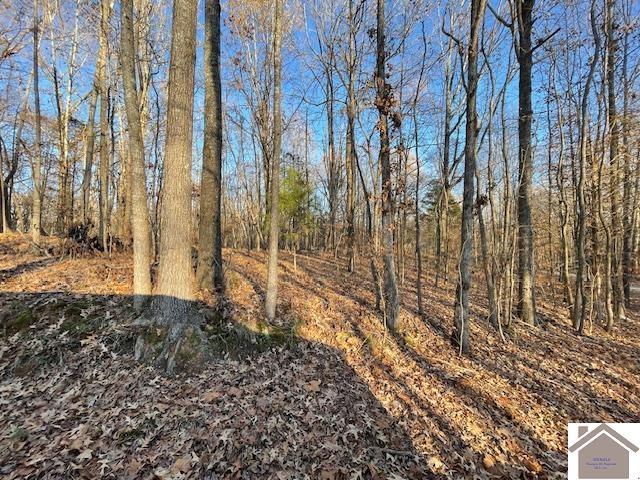 8-10 Pine Cir, Cadiz KY, 42211 land for sale