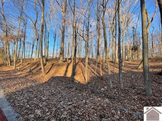 123, 1718 Ferrell Cir, Cadiz KY, 42211 land for sale