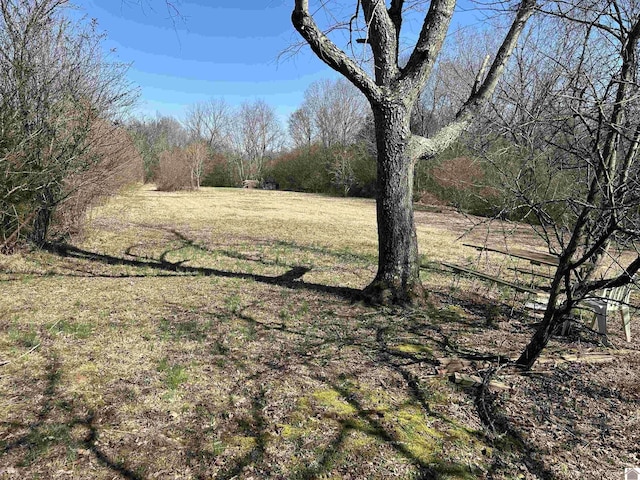 view of yard with a forest view