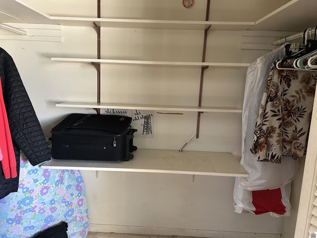 view of spacious closet