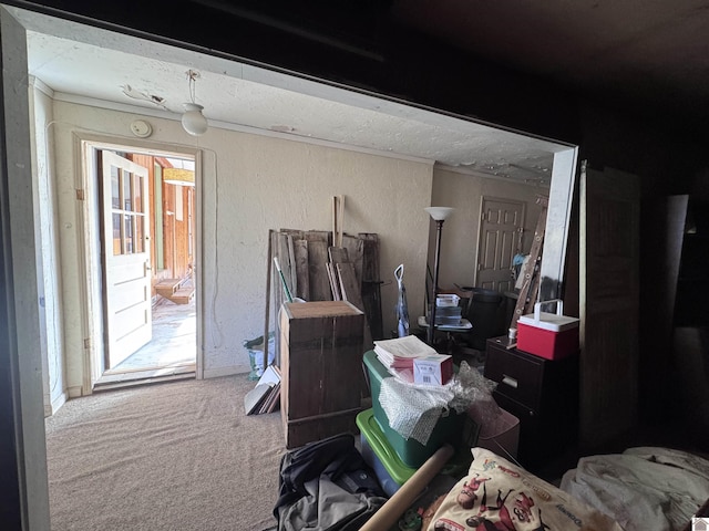 miscellaneous room with carpet flooring and a textured wall