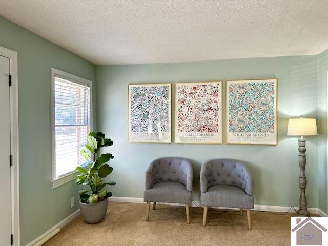 living area featuring plenty of natural light, carpet, baseboards, and a textured ceiling