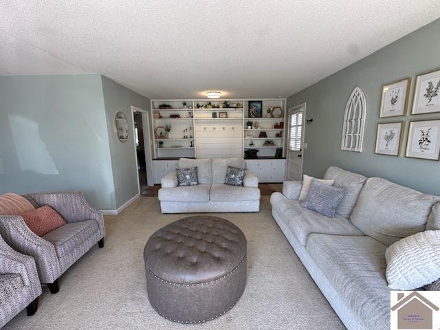 living room with carpet flooring, baseboards, and a textured ceiling