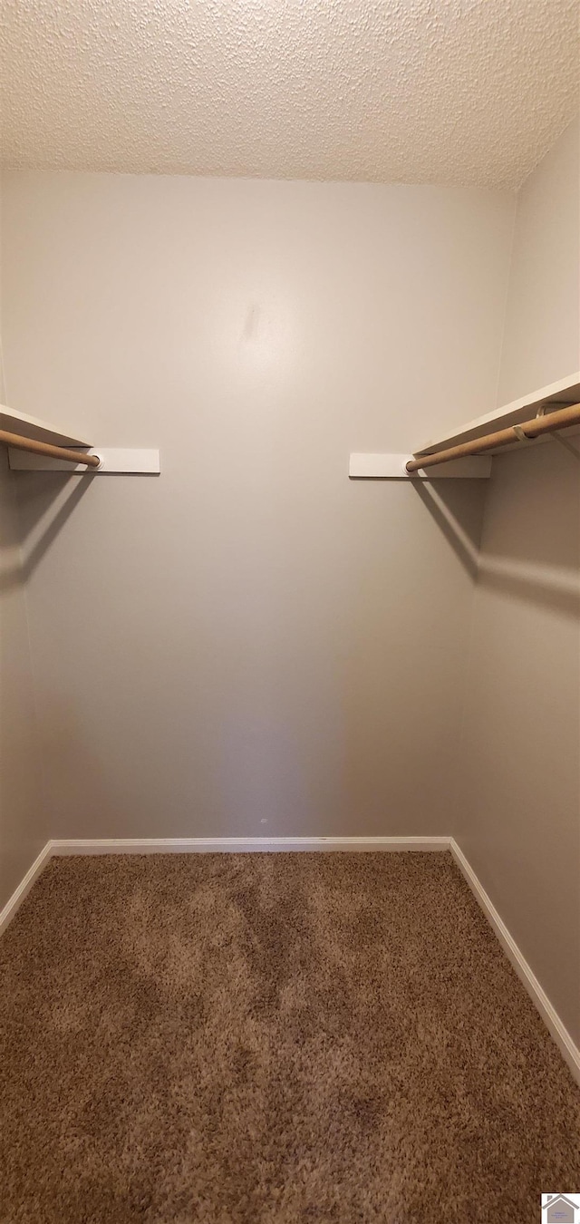 walk in closet with carpet floors