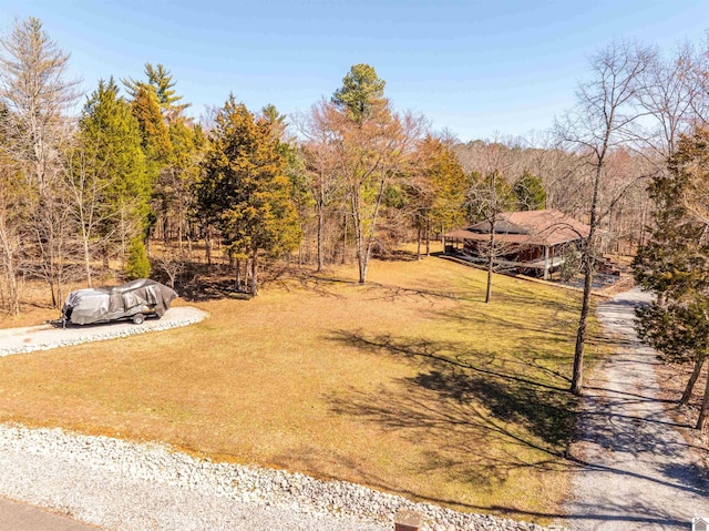 view of yard with a wooded view