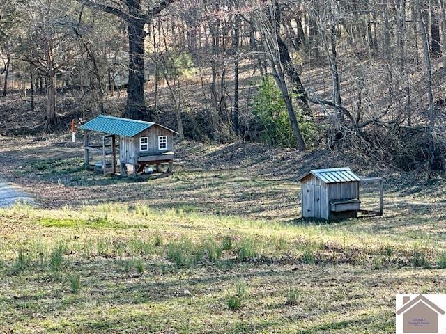 view of yard featuring a shed, exterior structure, and an outdoor structure