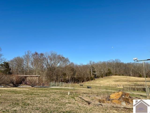 view of yard with a rural view