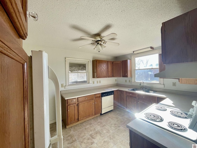 kitchen with cooktop, dishwasher, light countertops, brown cabinetry, and a sink