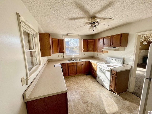 kitchen featuring white appliances, brown cabinets, under cabinet range hood, and a sink