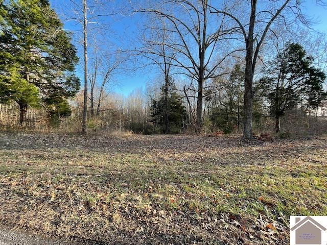 1-6 14-16 Pines Cir, Cadiz, KY 42211