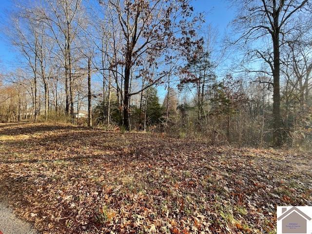 1-6 14-16 Pines Cir, Cadiz, KY 42211