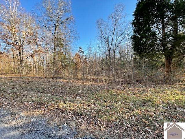 1-6 14-16 Pines Cir, Cadiz, KY 42211