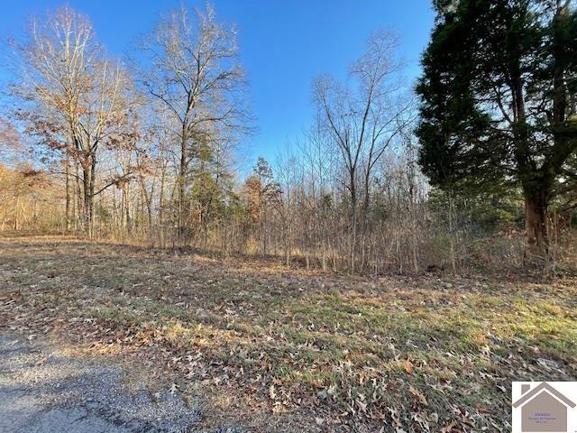 1-6 14-16 Pines Cir, Cadiz, KY 42211