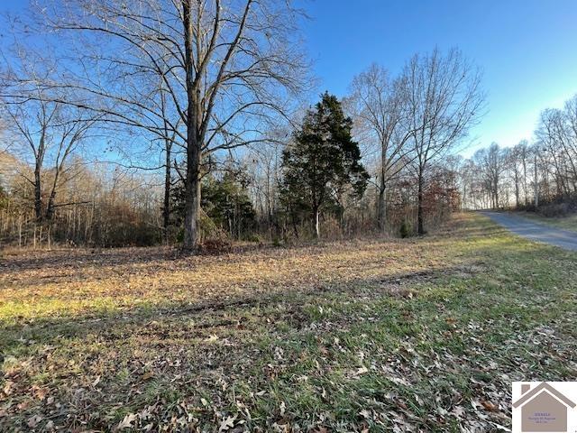 1-6 14-16 Pines Cir, Cadiz, KY 42211